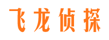 石屏侦探